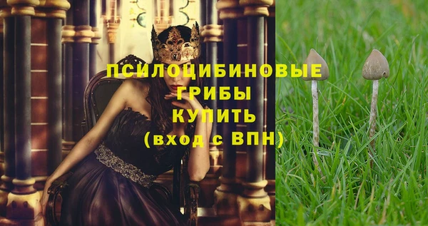 винт Арсеньев