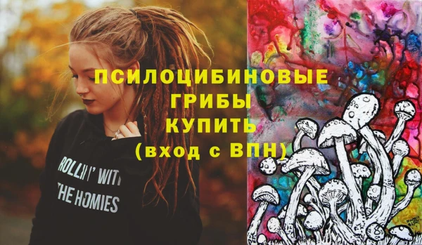 винт Арсеньев